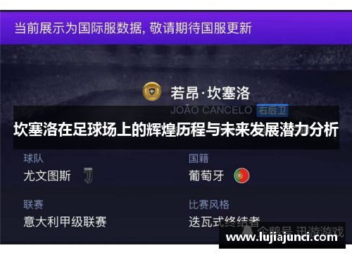 坎塞洛在足球场上的辉煌历程与未来发展潜力分析